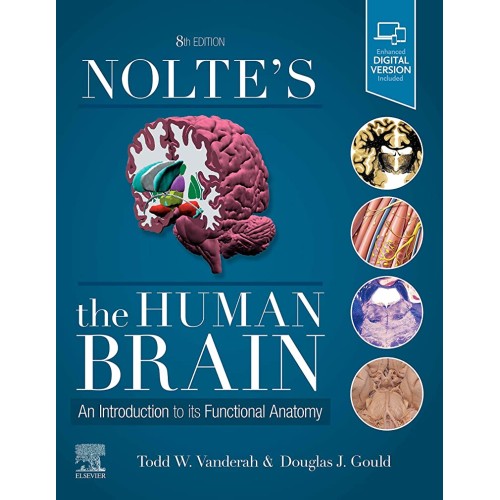 Noltes The Human Brain An Introduction To Its...