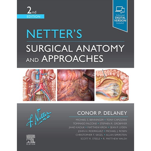 Netters Surgical Anatomy And Approaches With ...