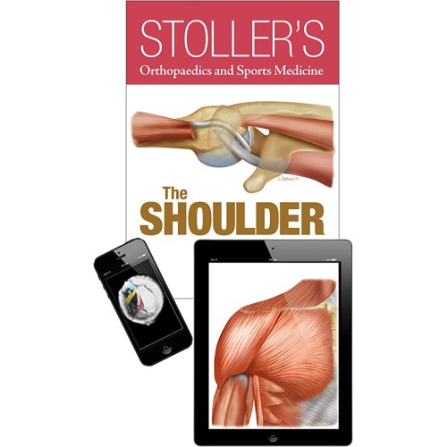 Stollers Orthopaedics And Sports Medicine The...