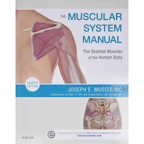 The Muscular System Manual The Skeletal Muscl...