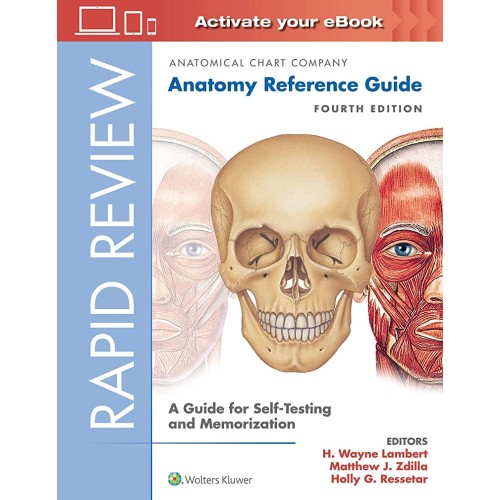 Rapid Review Anatomy Reference Guide A Guide ...