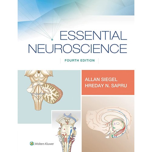 Essential Neuroscience 4Ed (Pb 2019) 