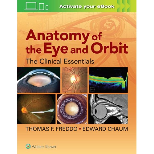 Anatomy Of The Eye And Orbit The Clinical Ess...