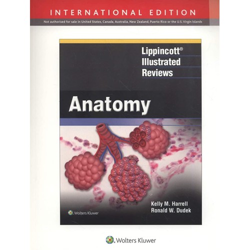 Lippincott Illustrated Reviews Anatomy (Ie) (...