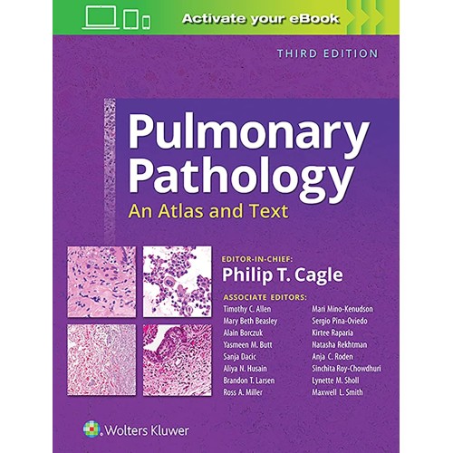 Pulmonary Pathology An Atlas And Text 3Ed (Hb...