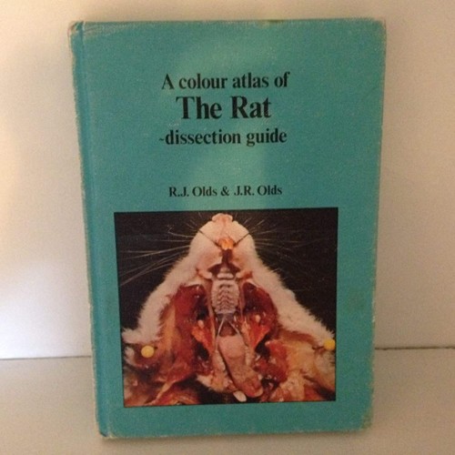 A Colour Atlas Of The Rat : Dissection Guide 