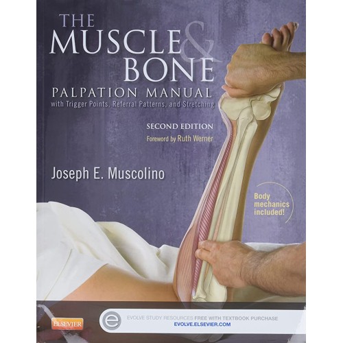 The Muscle And Bone Palpation Manual With Tri...