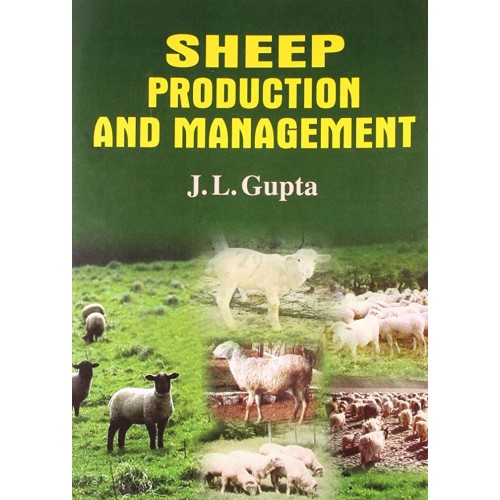 Sheep Production And Management (Pb 2012) 