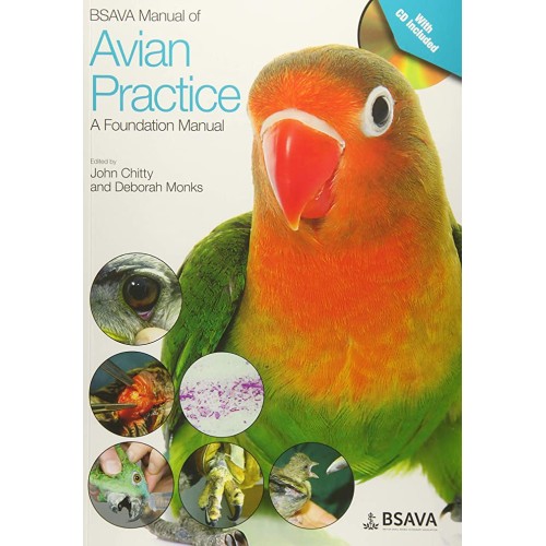 Bsava Manual Of Avian Practice A Foundation M...