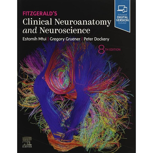 Fitzgeralds Clinical Neuroanatomy And Neurosc...