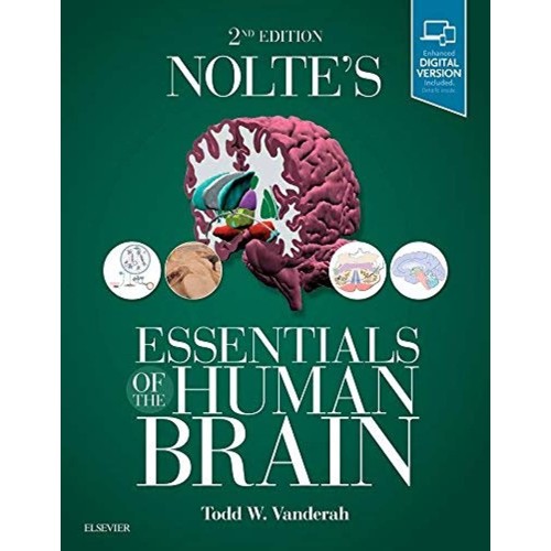 Nolte's Essentials of the Human Brain -2E