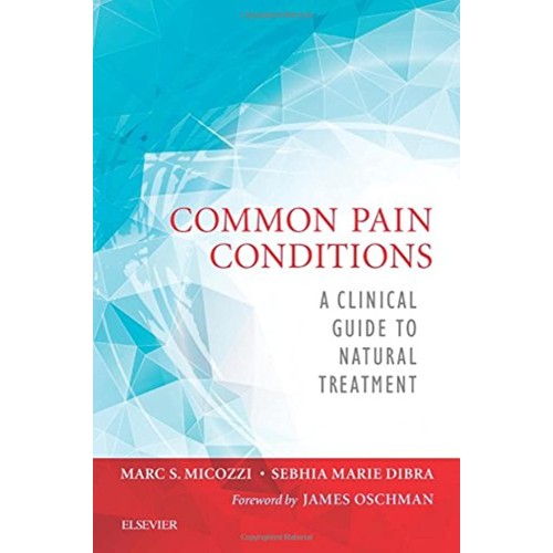 Common Pain Conditions: A Clinical Guide to Natural Treatment -1E