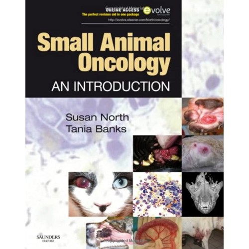 Small Animal Oncology: An Introduction