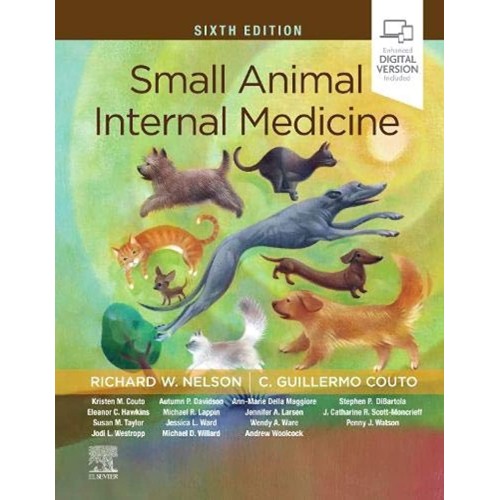 Small Animal Internal Medicine - 6ED