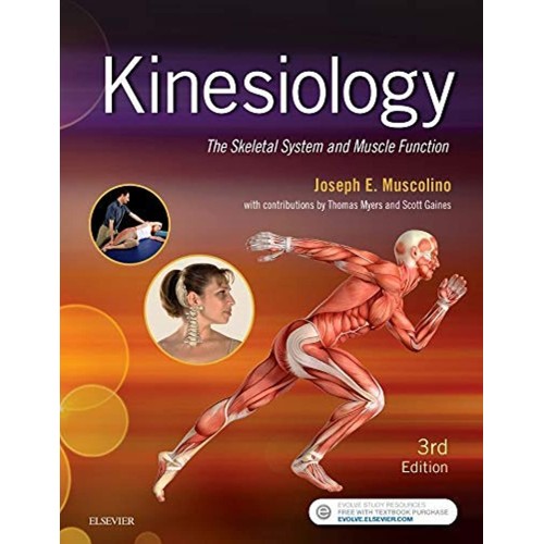 Kinesiology: The Skeletal System and Muscle Function -3E