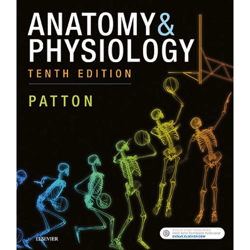 Anatomy & Physiology - Binder-Ready (includes A&P Online course) -10E