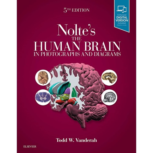 Nolte's The Human Brain in Photographs and Diagrams -5E