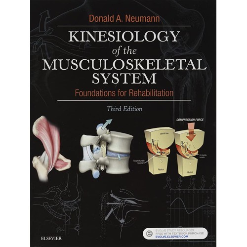 Kinesiology of the Musculoskeletal System: Foundations for Rehabilitation - 3E