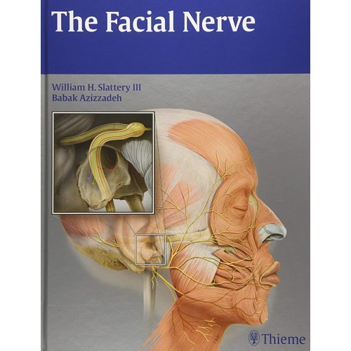 The Facial Nerve