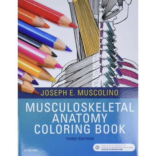 Musculoskeletal Anatomy Coloring Book -3E